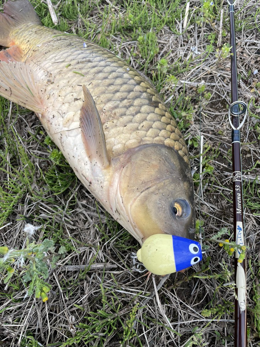 タカノリ tweet media