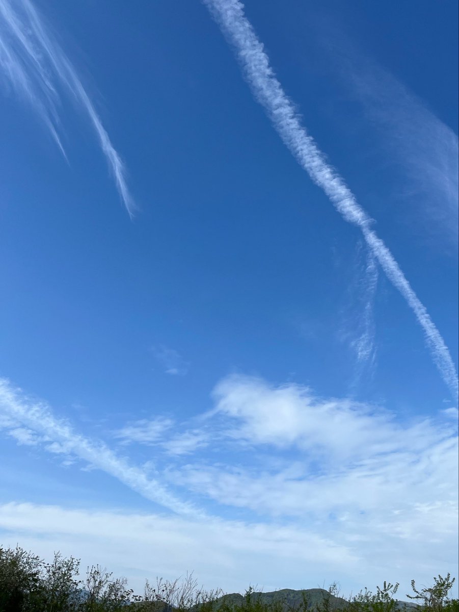 zc5316's tweet photo. https://t.co/WlkVD8PS9w