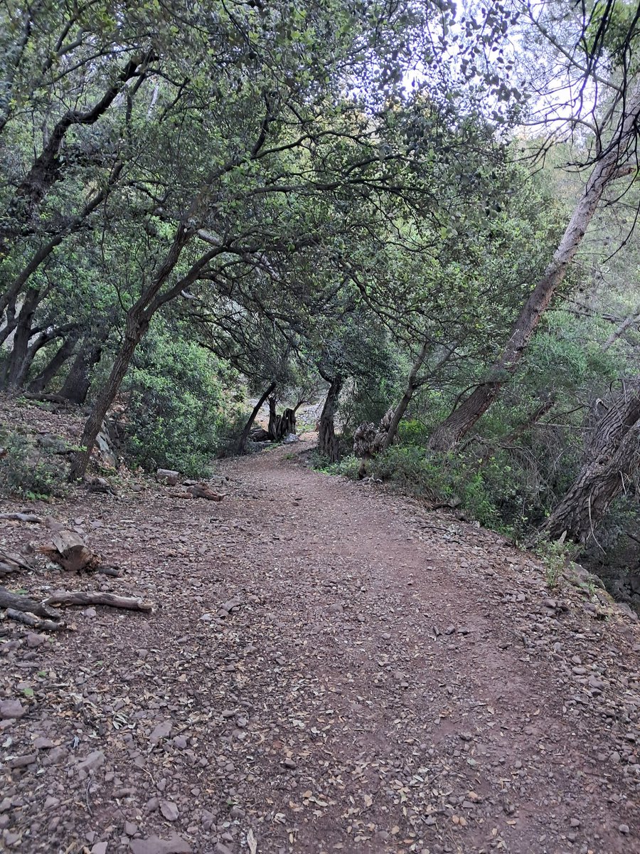 Pep Ramírez tweet media