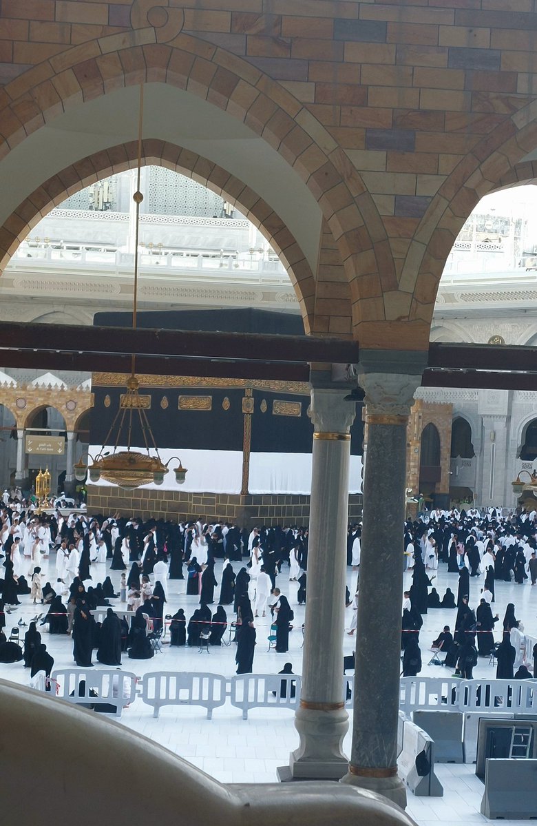 عفاف 🌿 tweet media