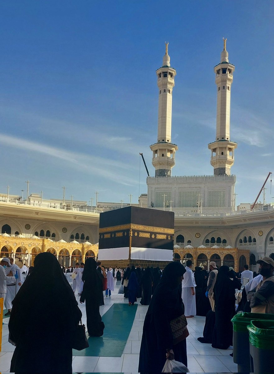 عفاف 🌿 tweet media