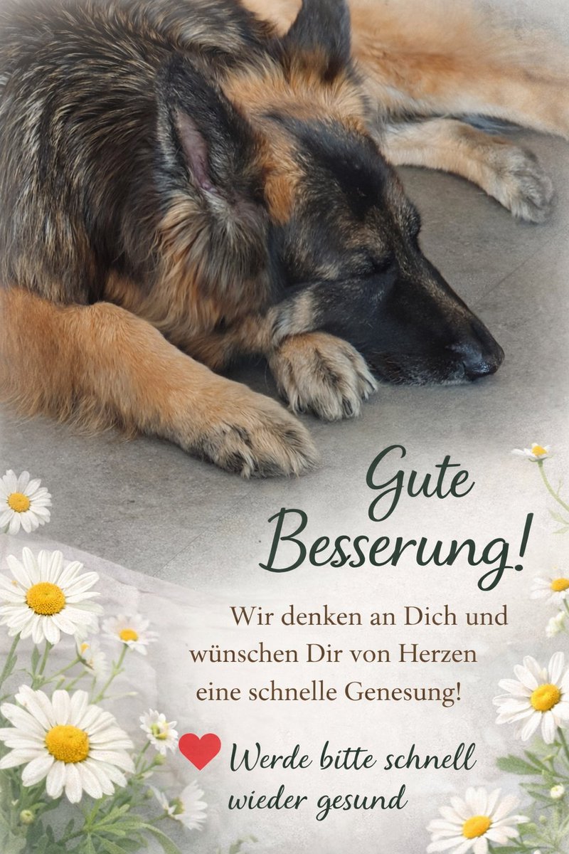 Grace 😇 Wachsamkeitsministerin tweet media