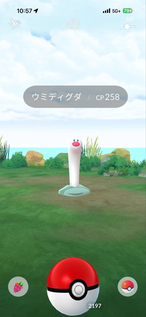 ぱむ tweet media