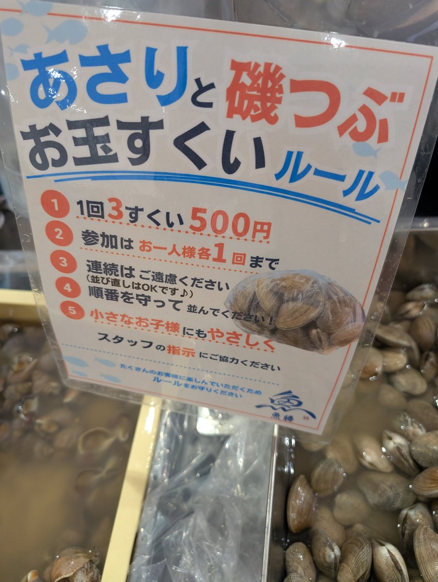 🐱๓Ꭵʂαԃ𐑾σᎥԃ🐱 tweet media