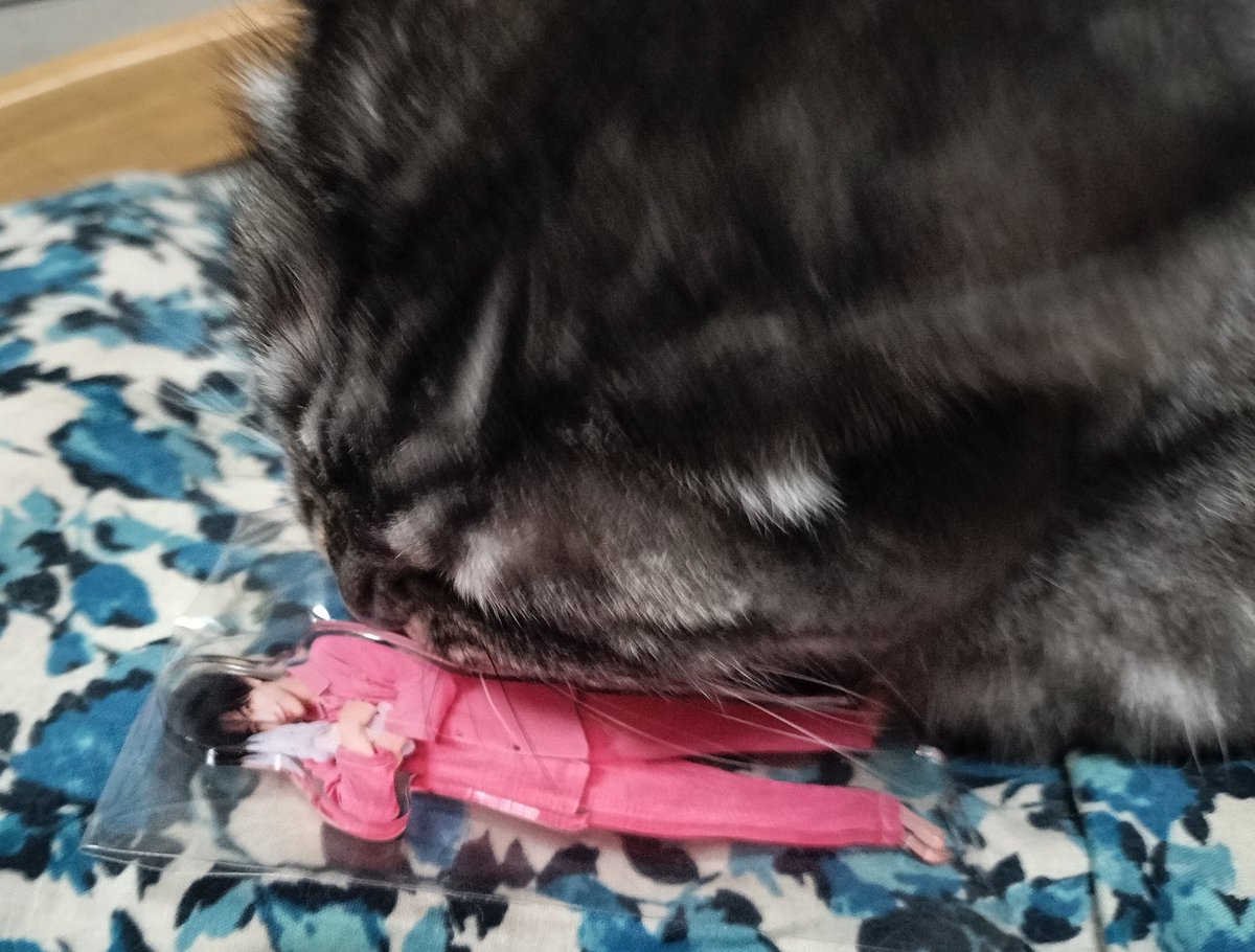 ともみん@IDOL1ST⭐️ tweet media