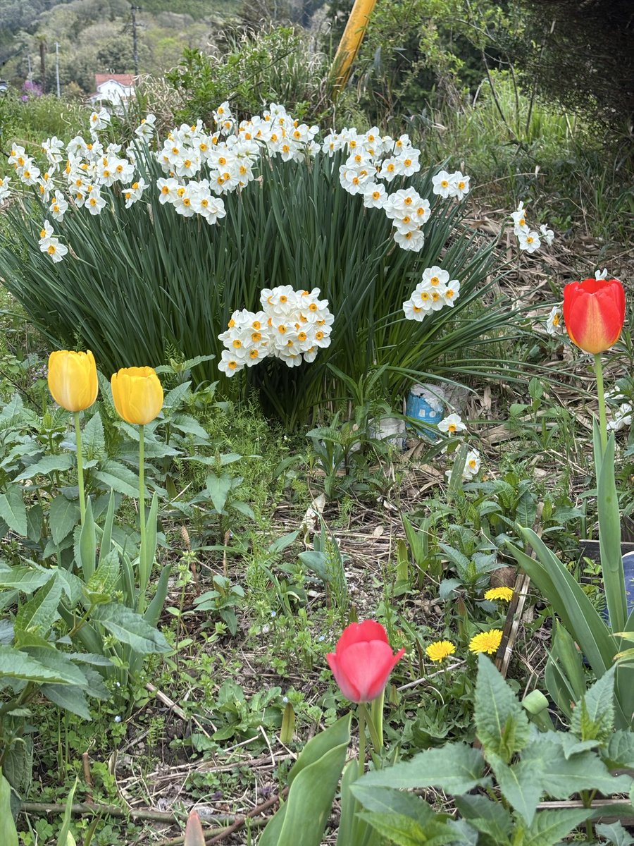 かめかめ tweet media