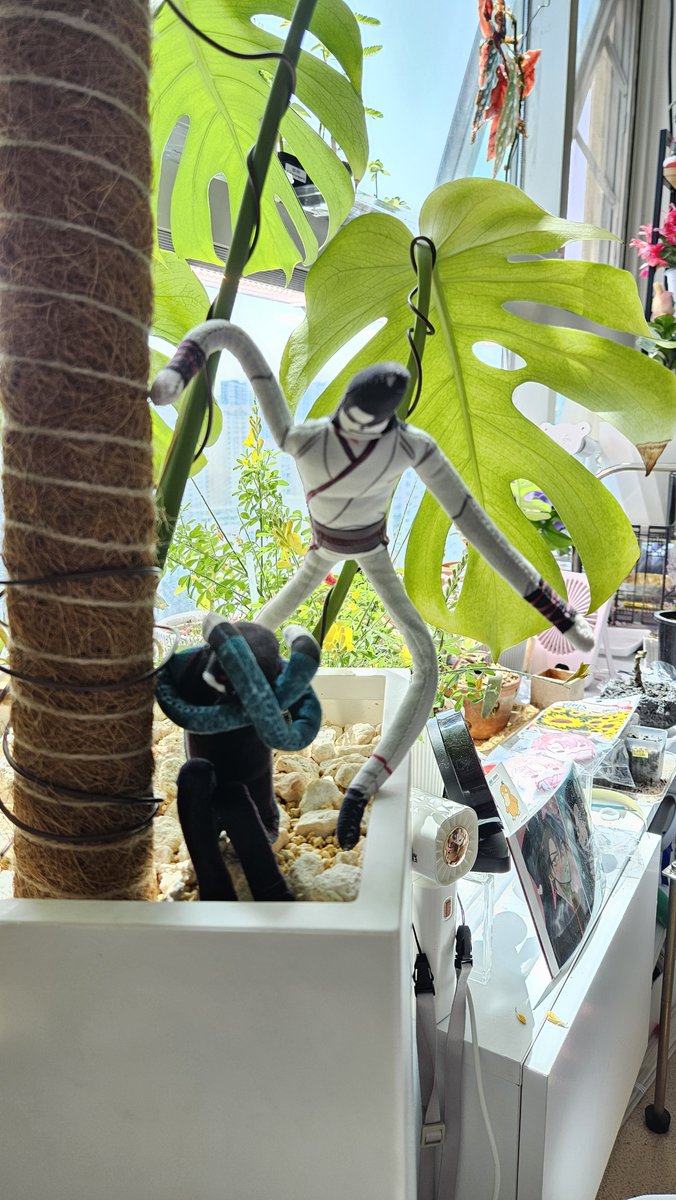 🌻아도.🌻 tweet media