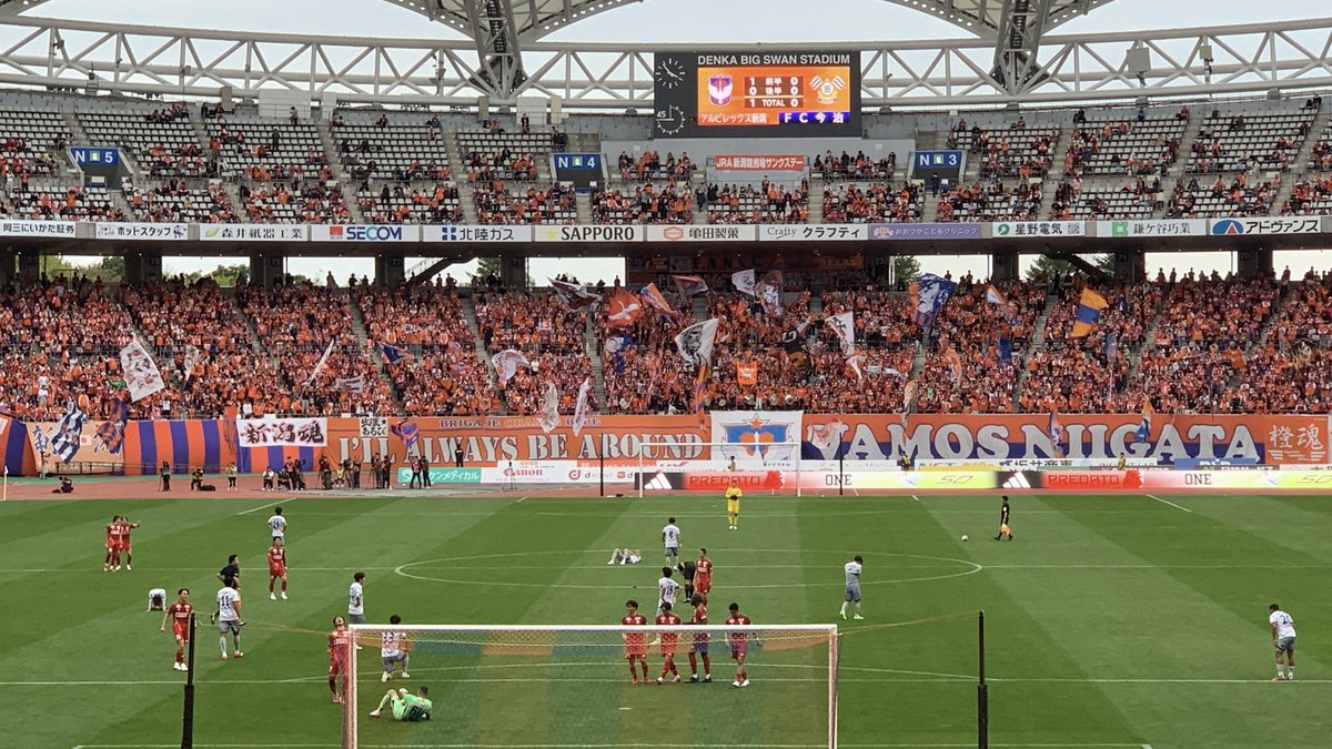 まるこ🦢 tweet media