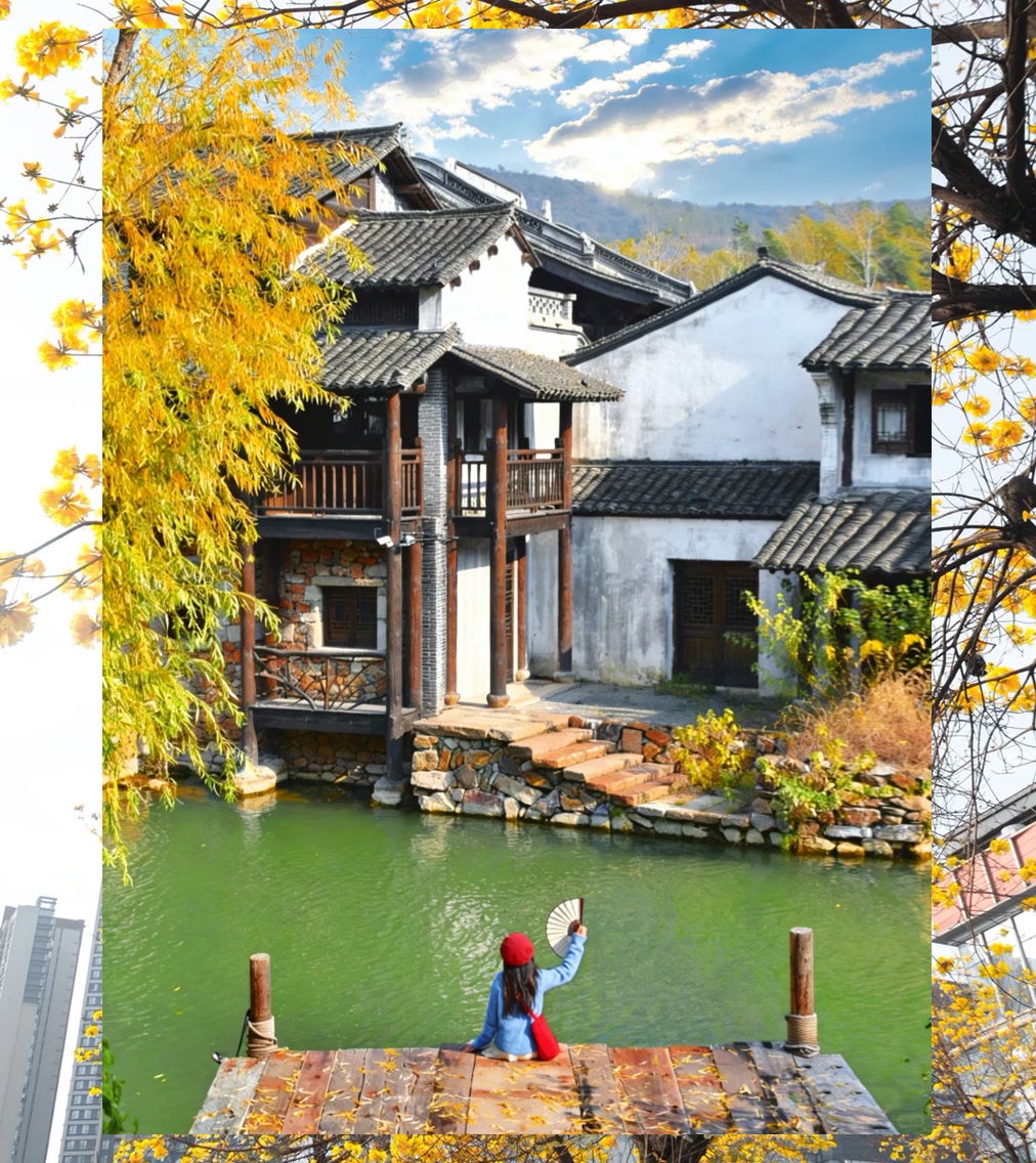 Beichen Wright tweet media