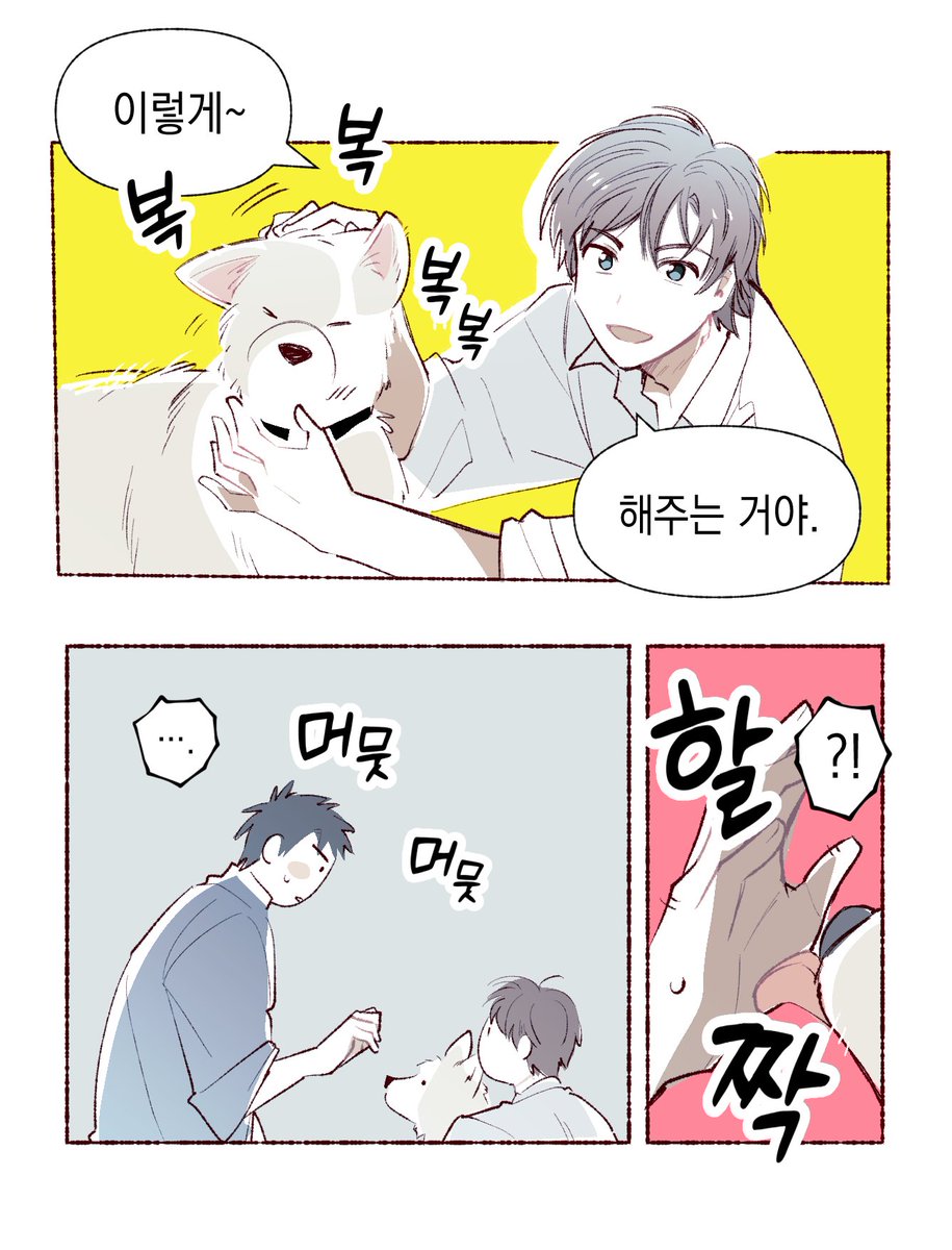 네임비 tweet media