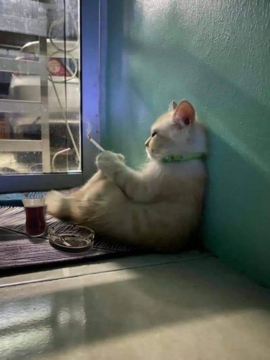 emepli süleymanın kaynı tweet media