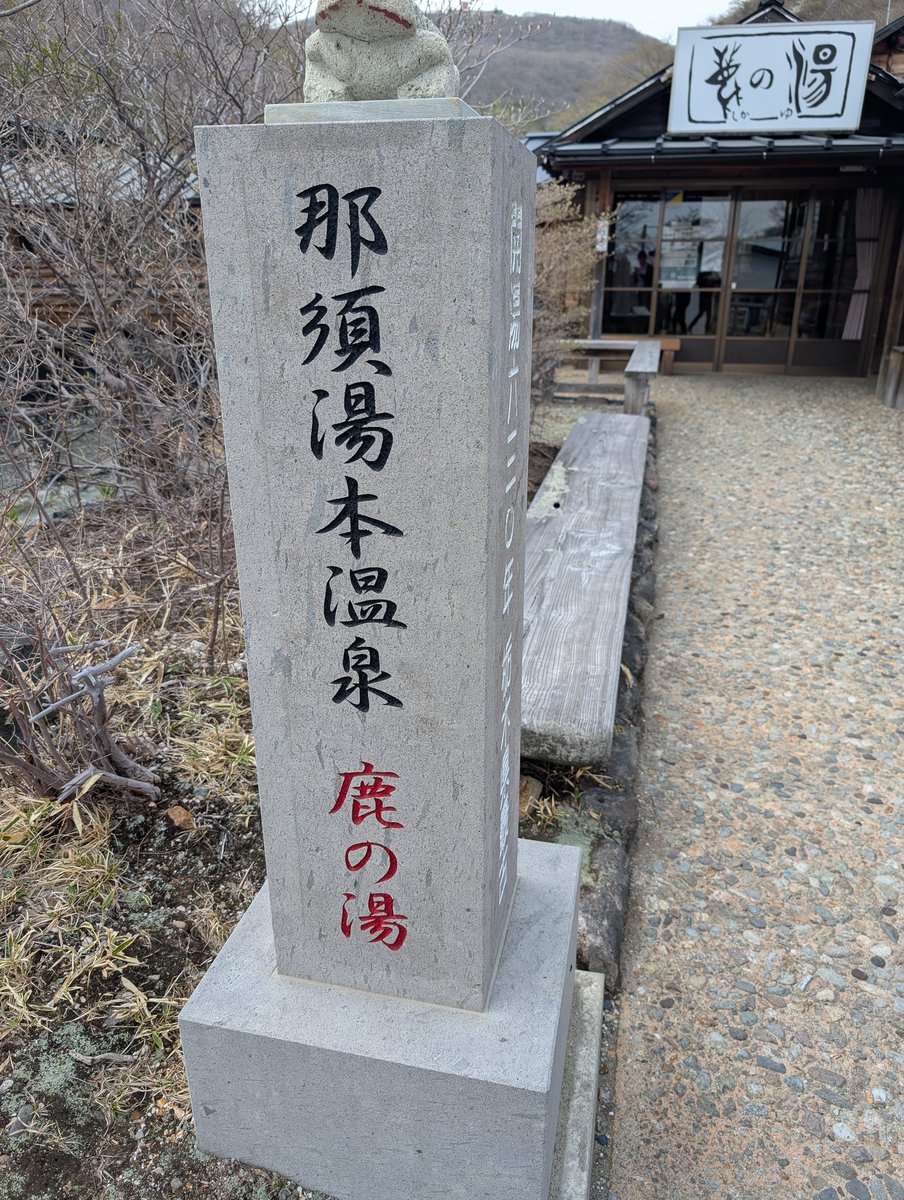 未来 tweet media