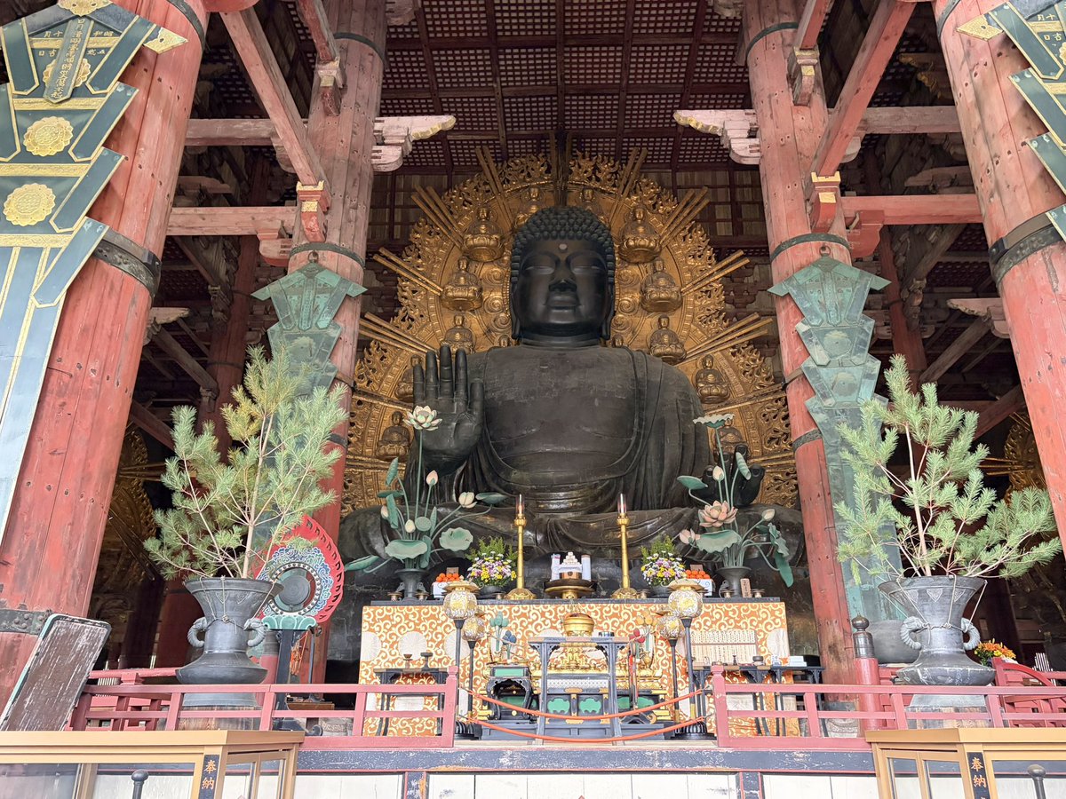 奈良大権現🦌 tweet media