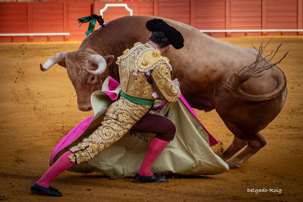 Antonio Delgado-Roig tweet media