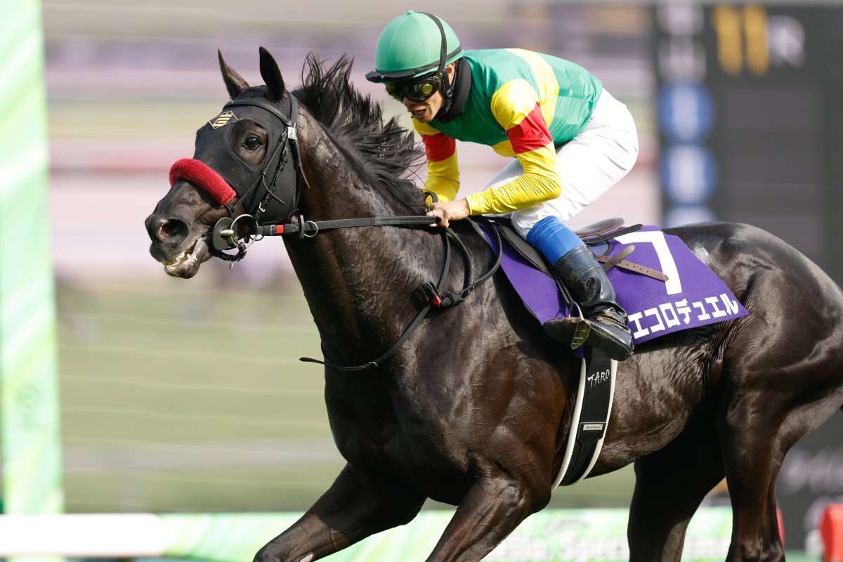 netkeiba tweet media