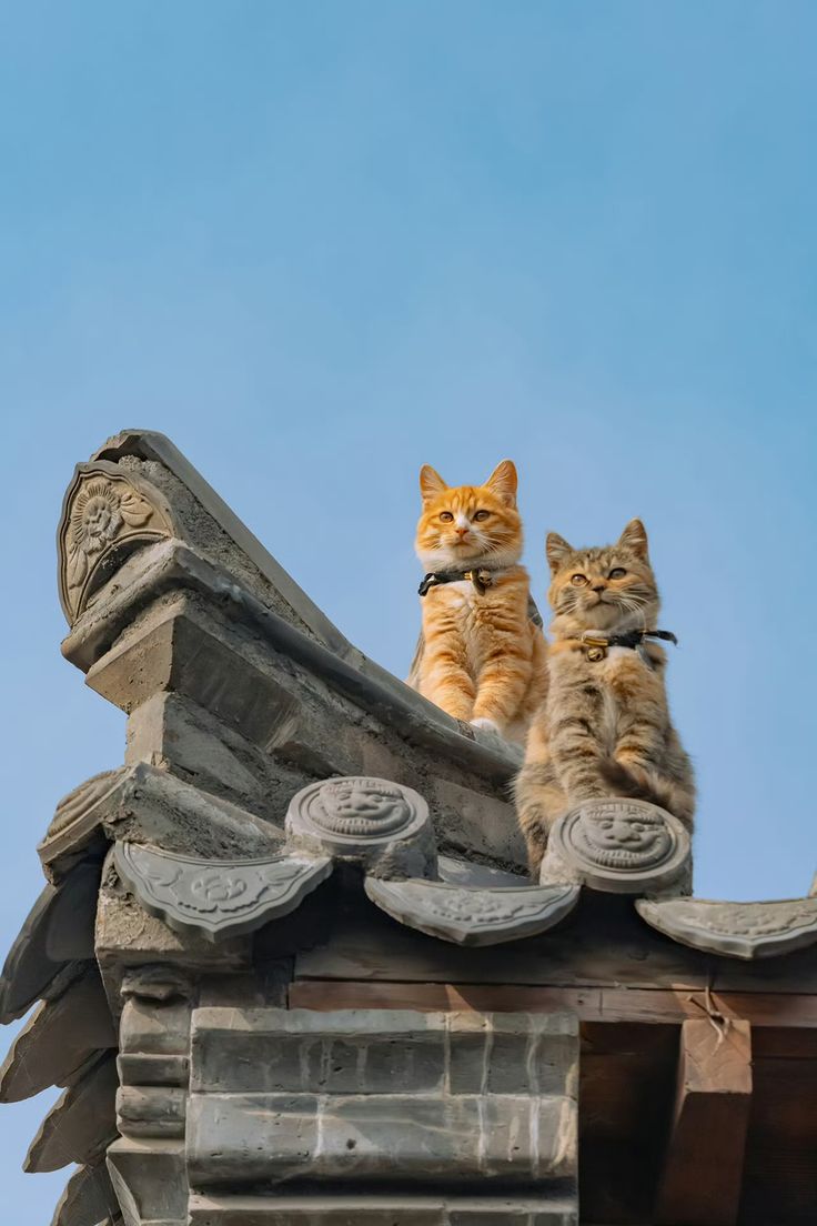 Poet's Photos tweet media