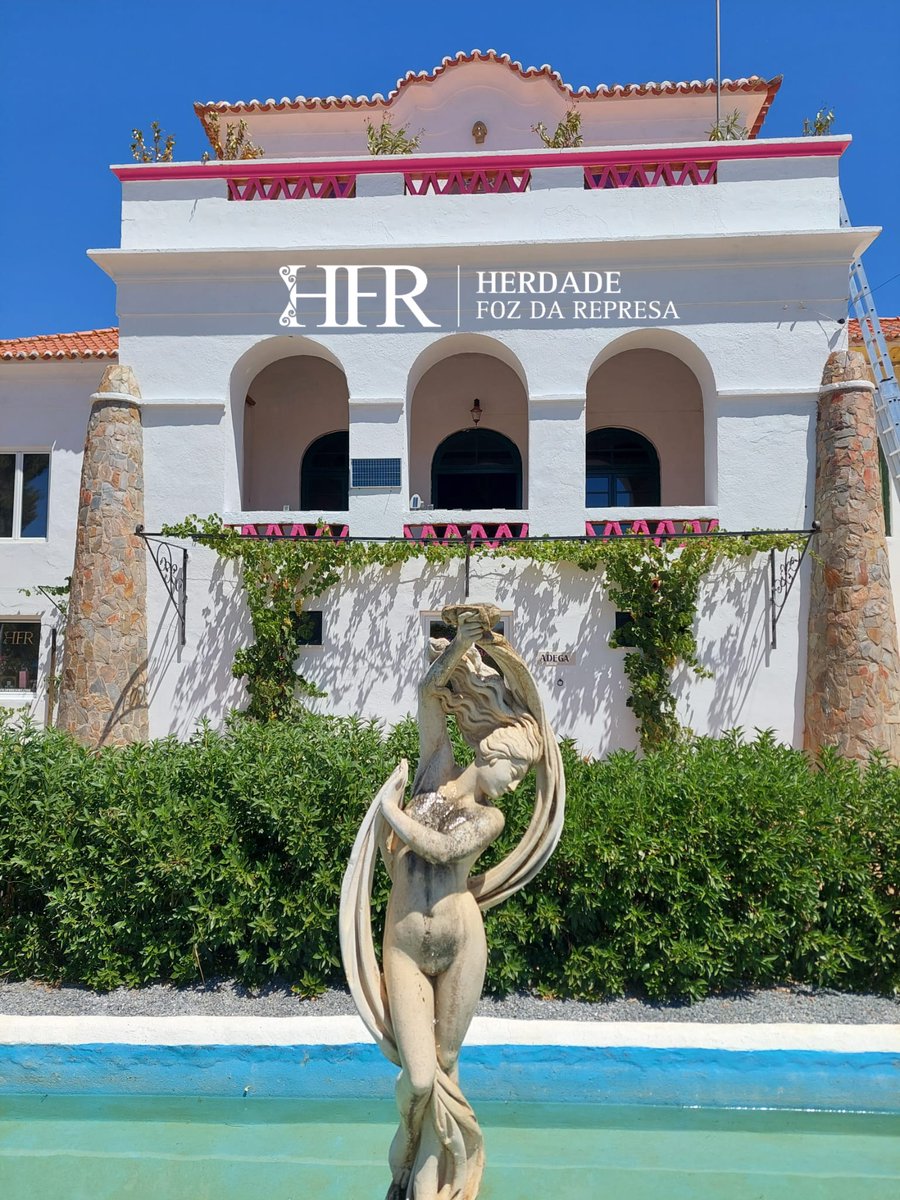 HFR - Wine Experiences & Memorable Events tweet media