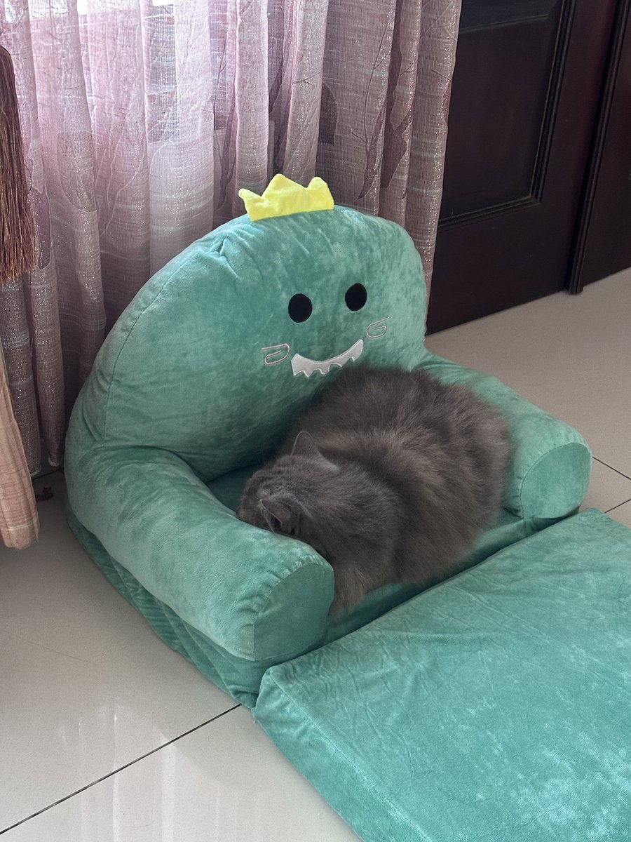 halo aku kucing tweet media