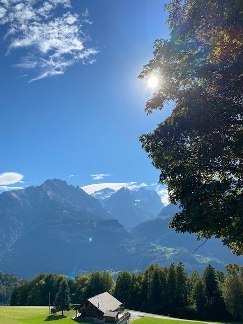 ValeriaVescina's tweet image. Dreaming of a #writingretreat? I’m holding two in the Swiss Alps in 2026: 14-20 June and 6-12 September. To learn more and to book: valeriavescina.com/teaching/writi… #WritingCommunity #writingworkshop #holidays #writingcourse #writersretreat #writingadvice #writingtips #writerslife