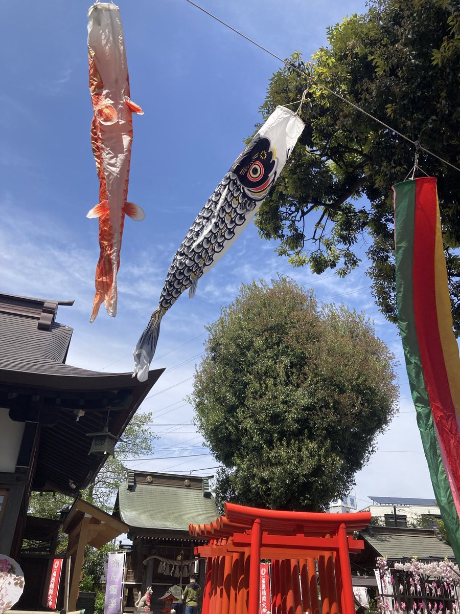 kanmi53's tweet photo. 神奈川県相模原市　相模原清新　氷川神社。明日から端午の節句の御朱印を直書きしてくれるそうです。わたしは柴とメジロの御朱印をいただきました。鯉のぼりが🎏元気に泳いでいました。清々しくて気持ち良い神社⛩️です。 https://t.co/od6eJQ5D9t