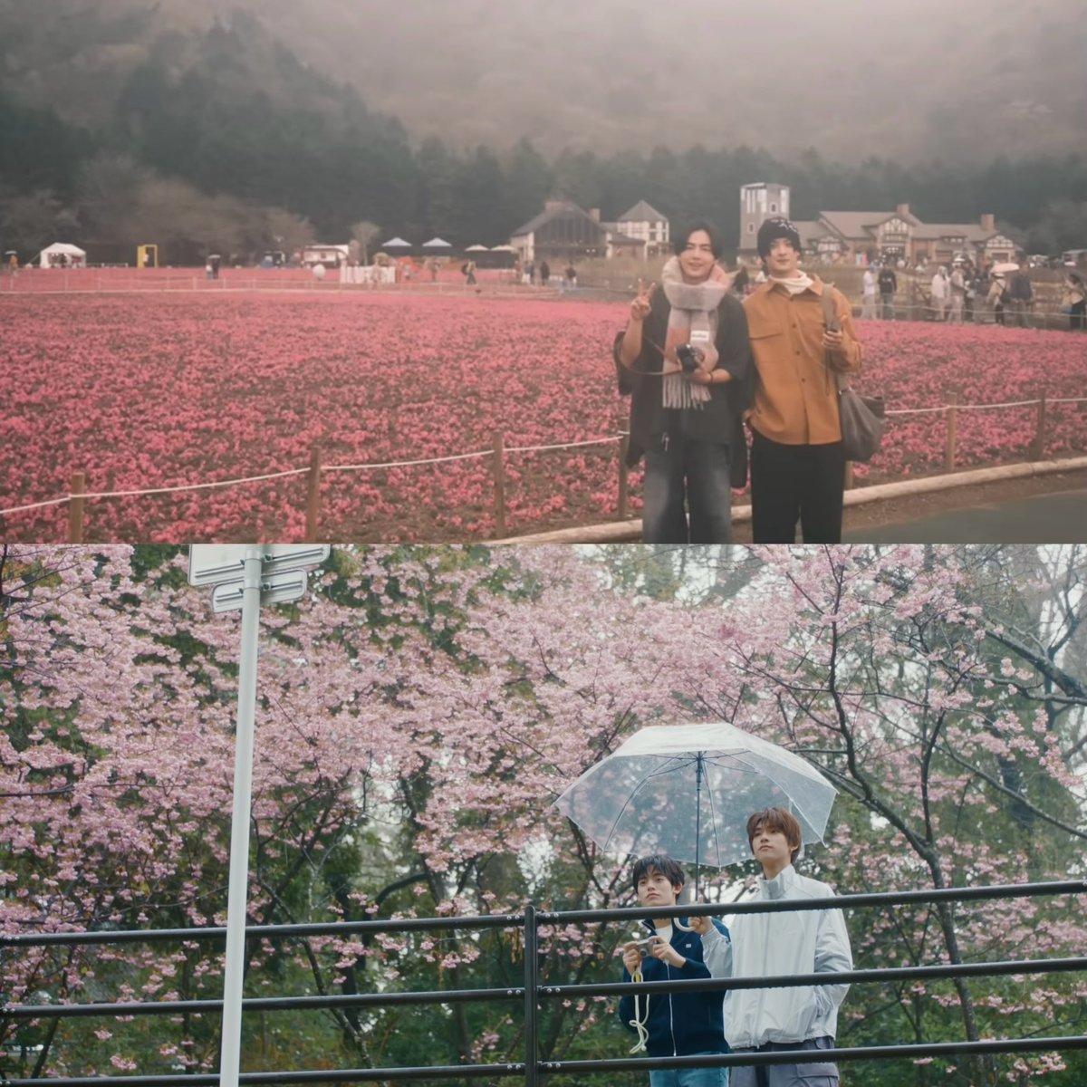 janlee .ᐟ𓇼 tweet media