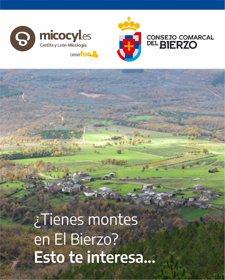 Programa Micocyl tweet media