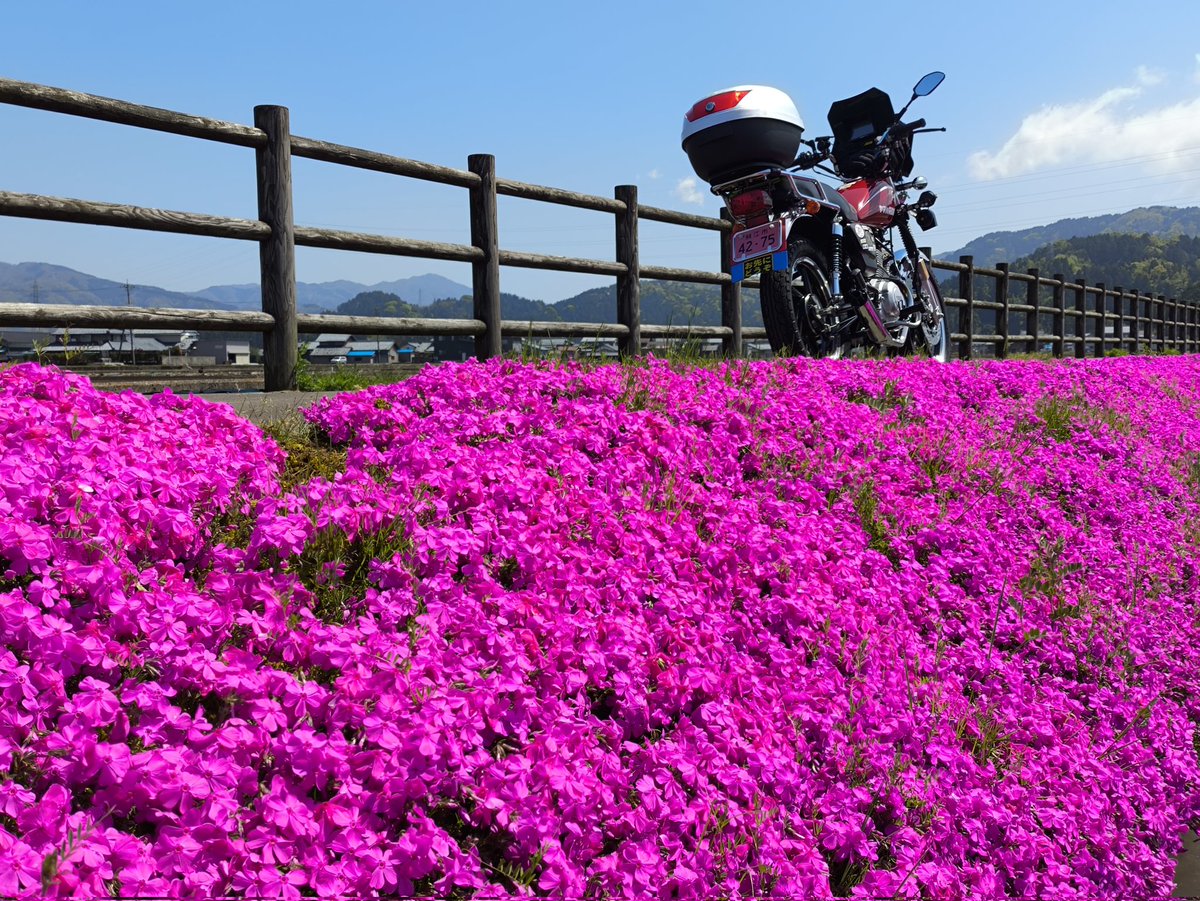 バイク爺さん tweet media