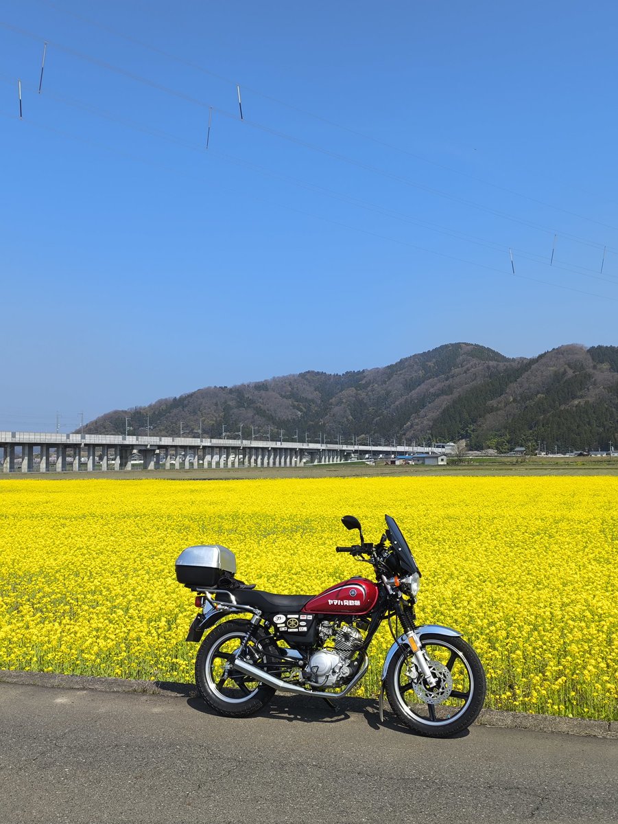 バイク爺さん tweet media