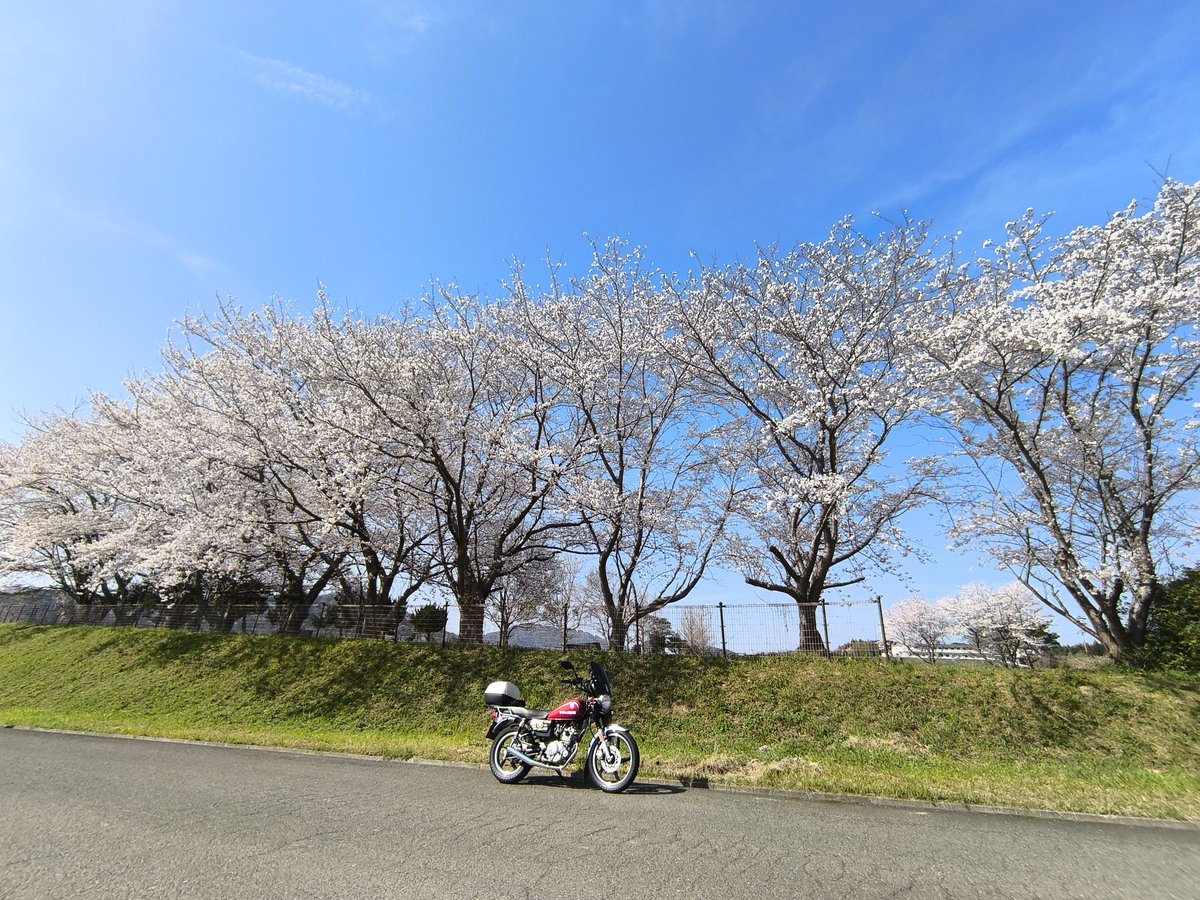 バイク爺さん tweet media