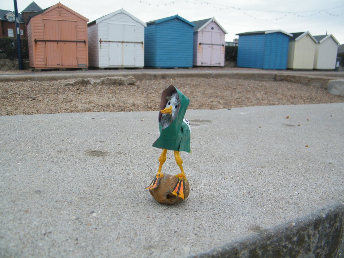 jonnyald's tweet image. down at Felixstowe beach #wooden #textures #starfish #tideline #old #seagull #sculpture #beachhuts #etsyshop #seventeen #pounds #lifesgreat #suffolk #coast