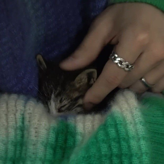 ᨳ♡ഒ tweet media