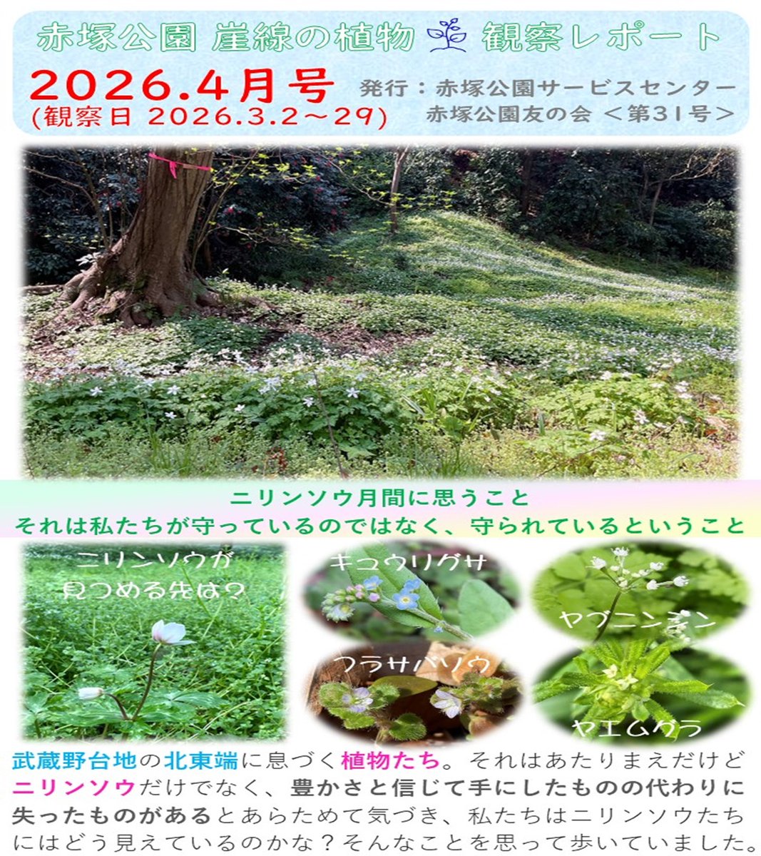 都立赤塚公園 tweet media