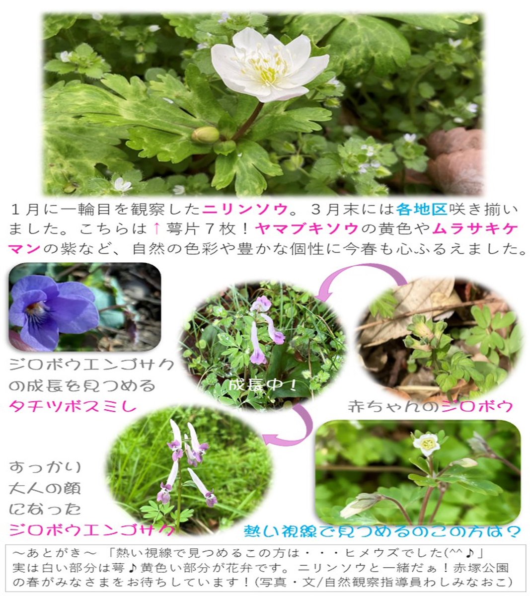都立赤塚公園 tweet media