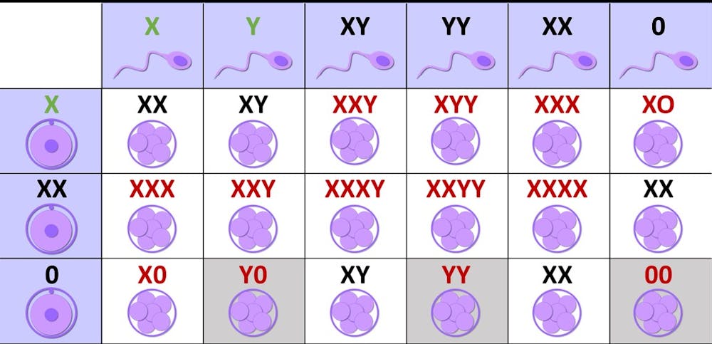 SparrowsBread tweet media