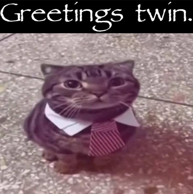 Ezekiel. tweet media