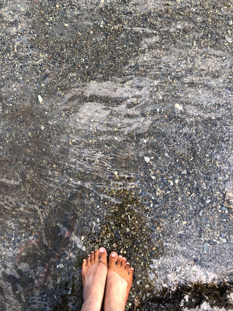 よしちゃんの まーるい暮らしに移行している 超個人的な過程 🐾 の記録 &つぶやき〜(^-^)♪ tweet media