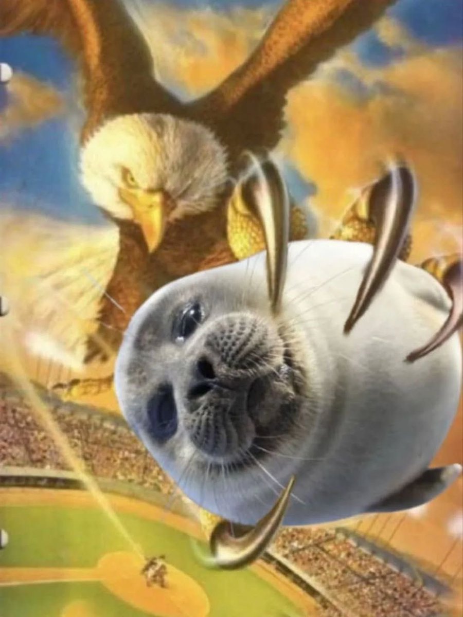 cheams 🥯🪽 tweet media