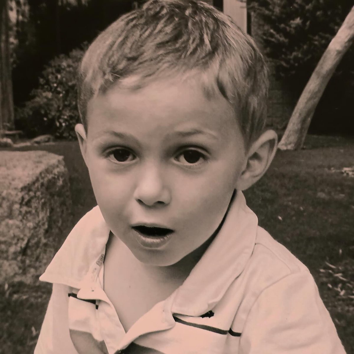 Mike Giovando tweet media