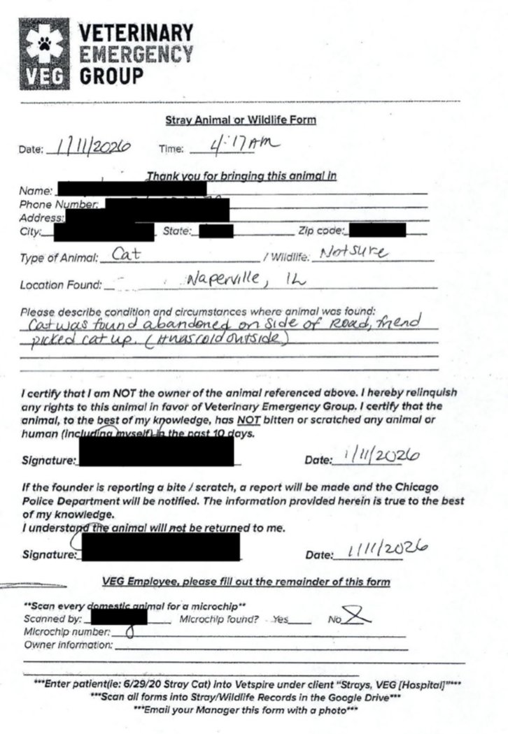 MartieTheKitten's tweet image. We want answers. If Marty was "found" in Naperville, IL branch VEG, why do his illegal surrender papers signed by a thief list Chicago Police Department as the reporting agency?

There has been no #Transparency and no #Accountability.

@Chicago_Police @ChicagoACC @VEGERforpets