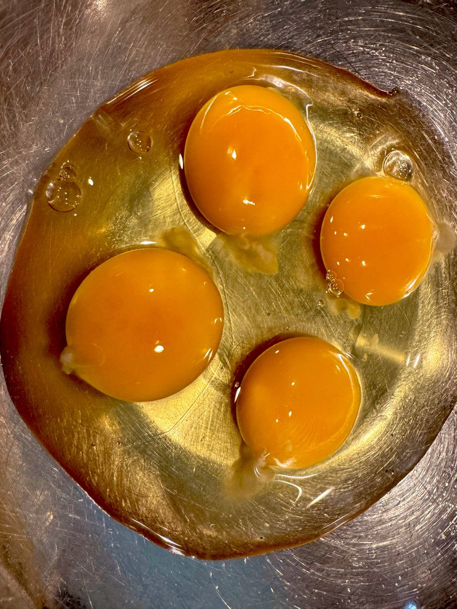 海老乃 尾（えびの しっぽ）🦐🍤@茹で海老Vtuber tweet media