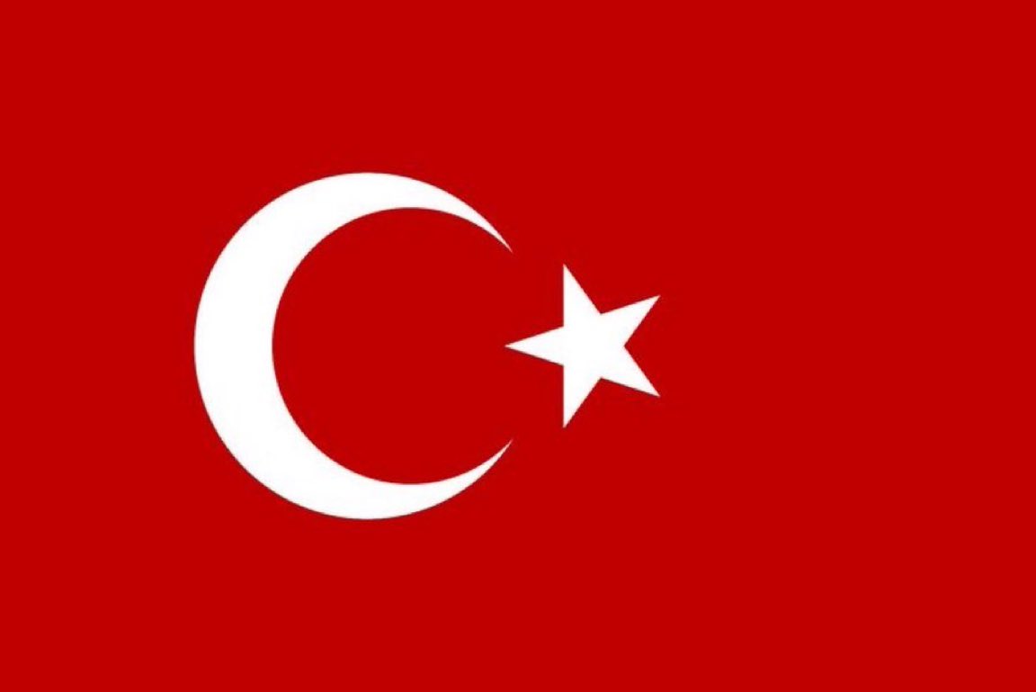 Gökçe Katun tweet media