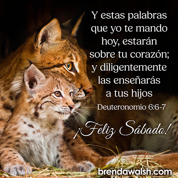 marinabcncat's tweet image. No tenemos que pensar igual🤍,sólo tenernos el mismo respeto🙏,que porqué soy creyente😇?,si preguntas eso....,no has entendido #Nada💓