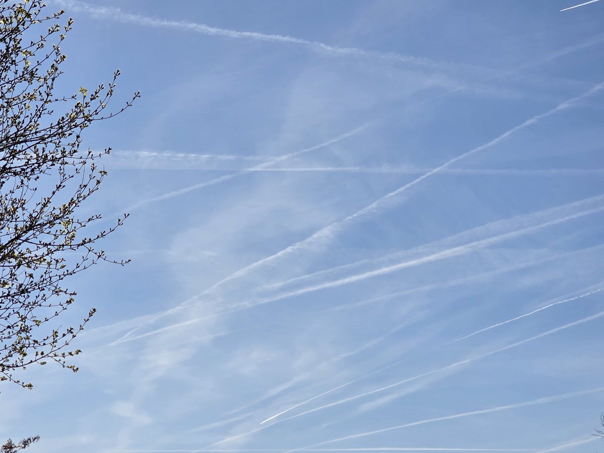 RobertvanWaning's tweet image. Do you mean #contrails?
The sky is always full with airplanes and #aviationsmog.