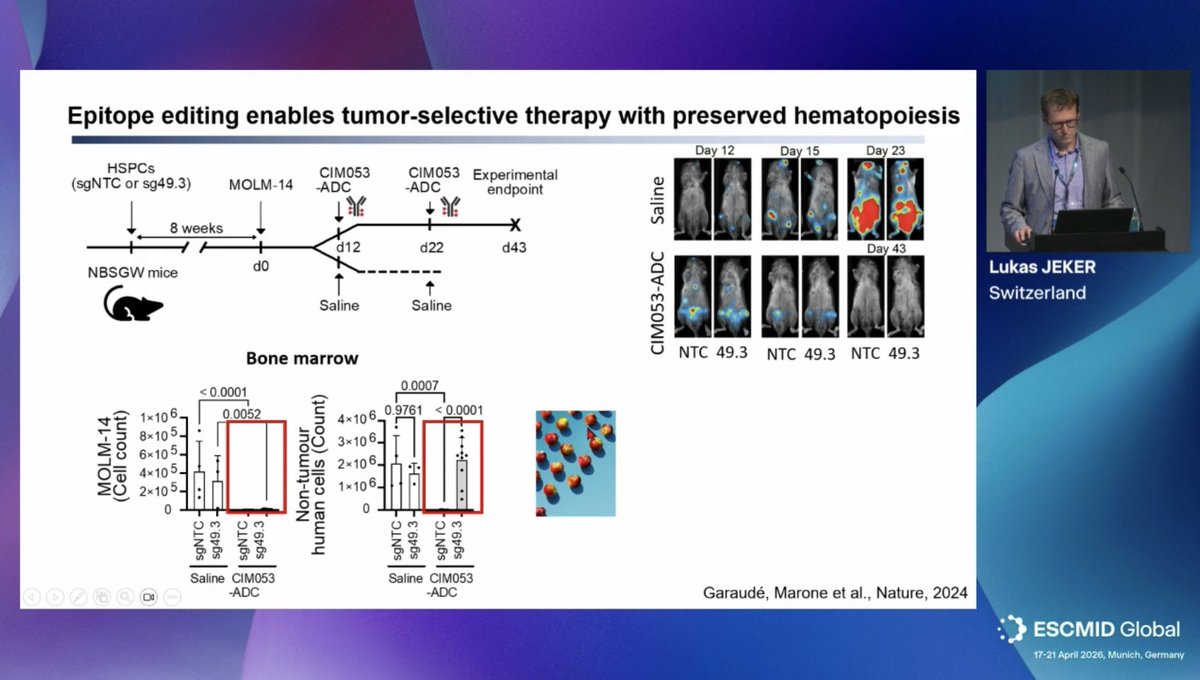 HematoRules's tweet image. #ESCMID26 Lukas Jeker @UniBasel_en amazing presentation using CD45 modified cells to treat Hematological malignancies and potentially infectious diseases someday! 
#HSCT #HematoInfecto