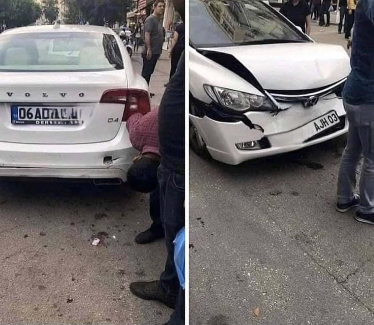 Greennaturetr tweet media