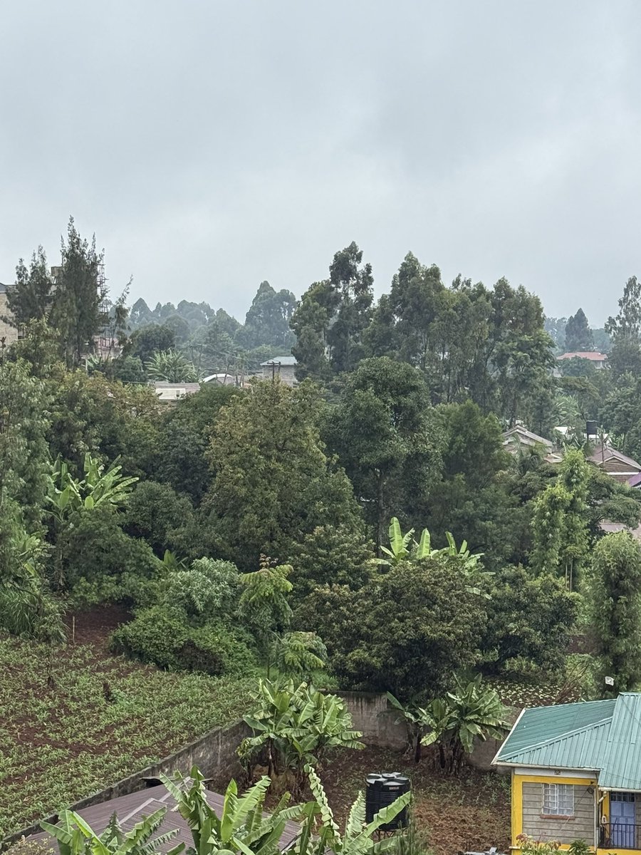 Nancy💚 tweet media