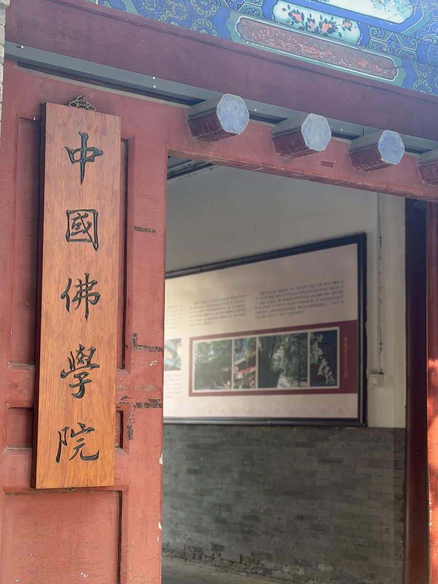 Caicai's tweet photo. 该校失去一个学生，而我得到一个伴侣。所以，法源寺是每年必定要去一次的地方。 https://t.co/l8JqsC2UZM