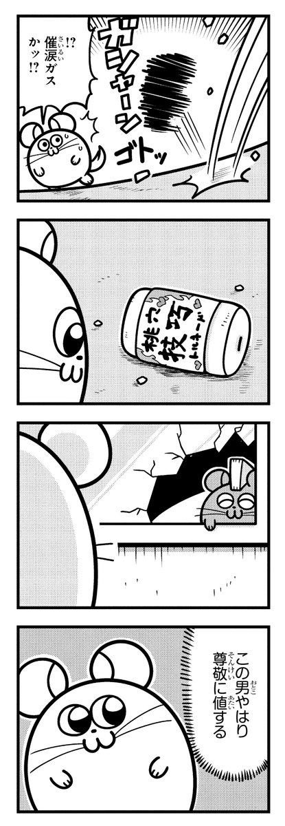 ちょきりんページ RT @chinchilla_land: