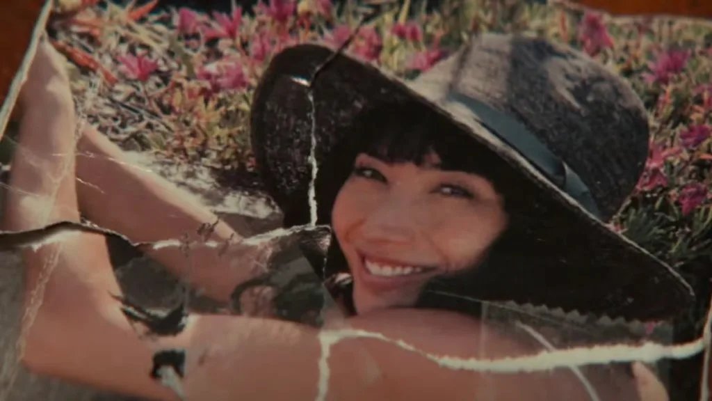 cy the human tweet media