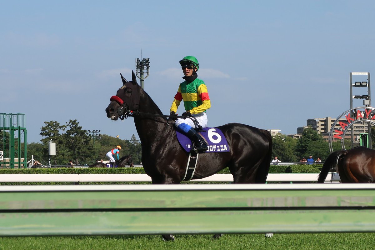 でぃしくん tweet media